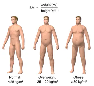 BMI Calculator